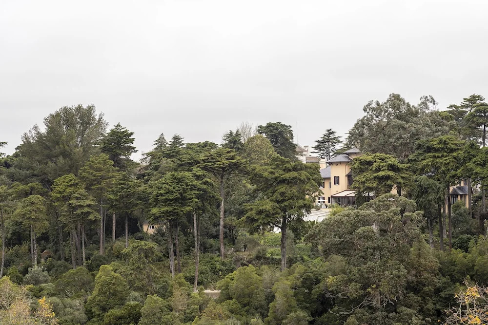 Sintra Marmòris Camélia