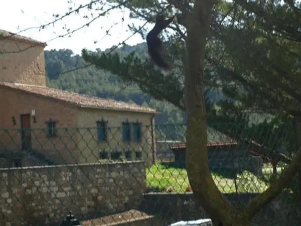 Albergue Oncineda
