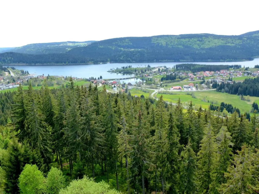 Ferienwohnung Schluchsee