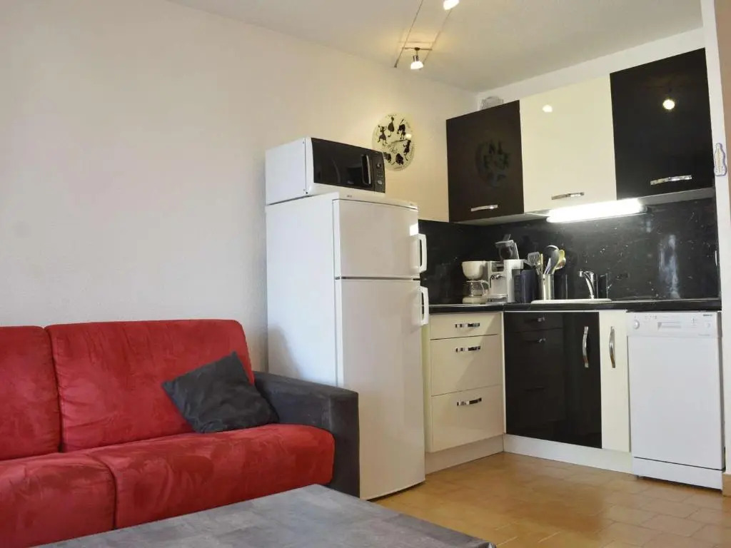 Appartement Cap d'Agde, 2 pièces, 4 personnes - FR-1-249-322