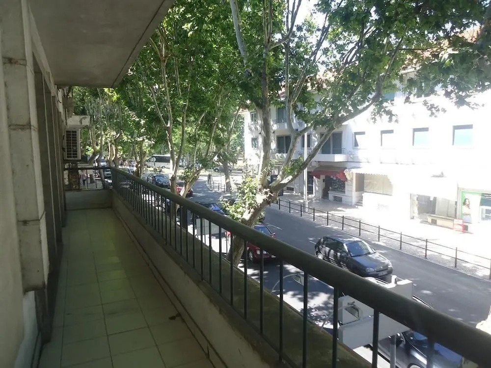 Palm Guesthouse