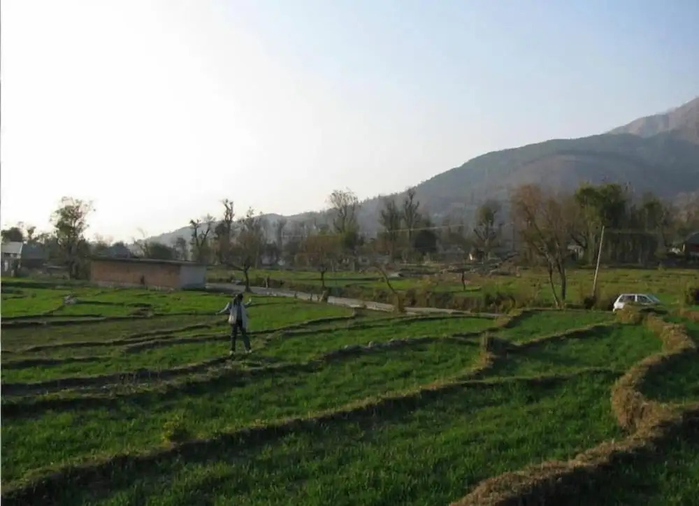 The Citadel Resorts,Jiya