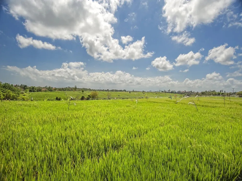 Best Selling Family 5 Bedrooms Pool Villa in Canggu