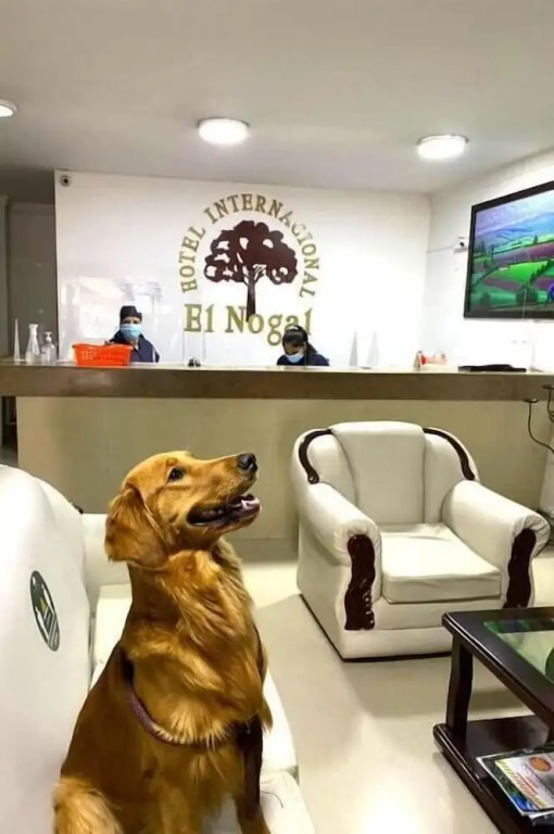 Internacional El Nogal Ipiales