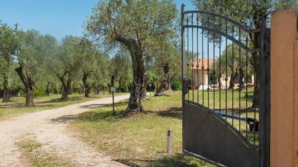 Italianway - B&B Olivar