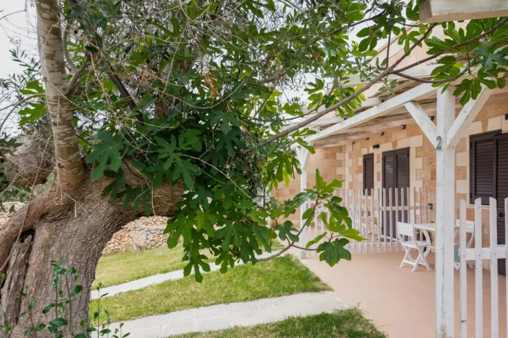 Tenuta San Lorenzo