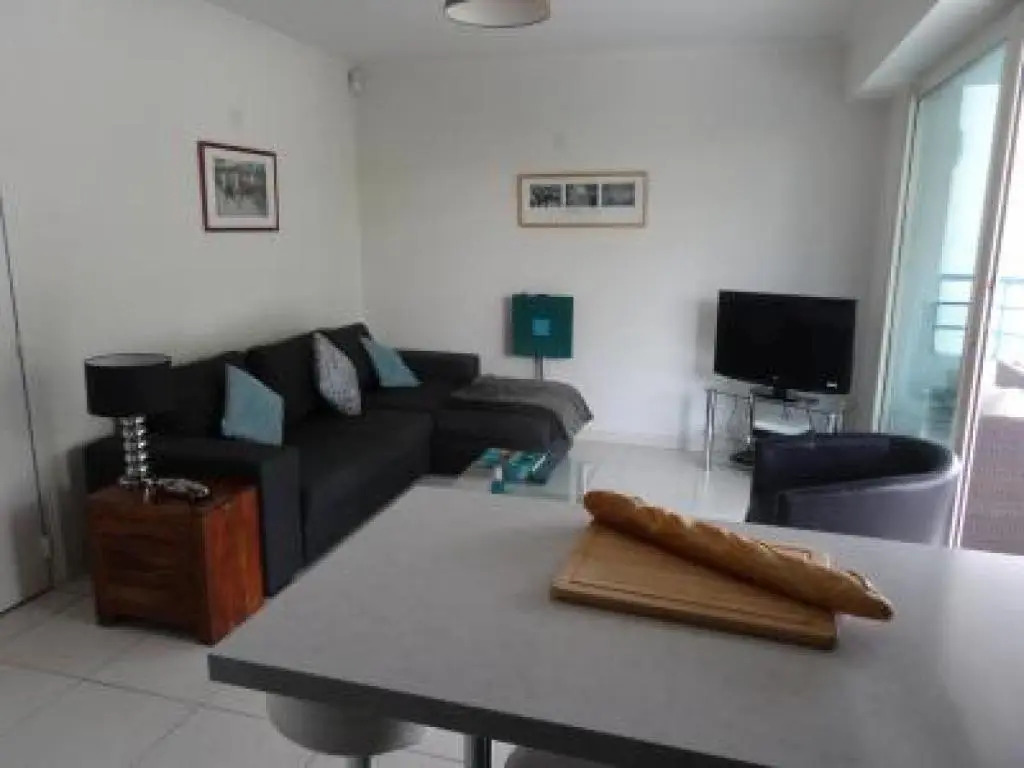 Modern one Bedroomed Apartment Just off the Cannes Seafront With a Terrace and Pool Access - 1753