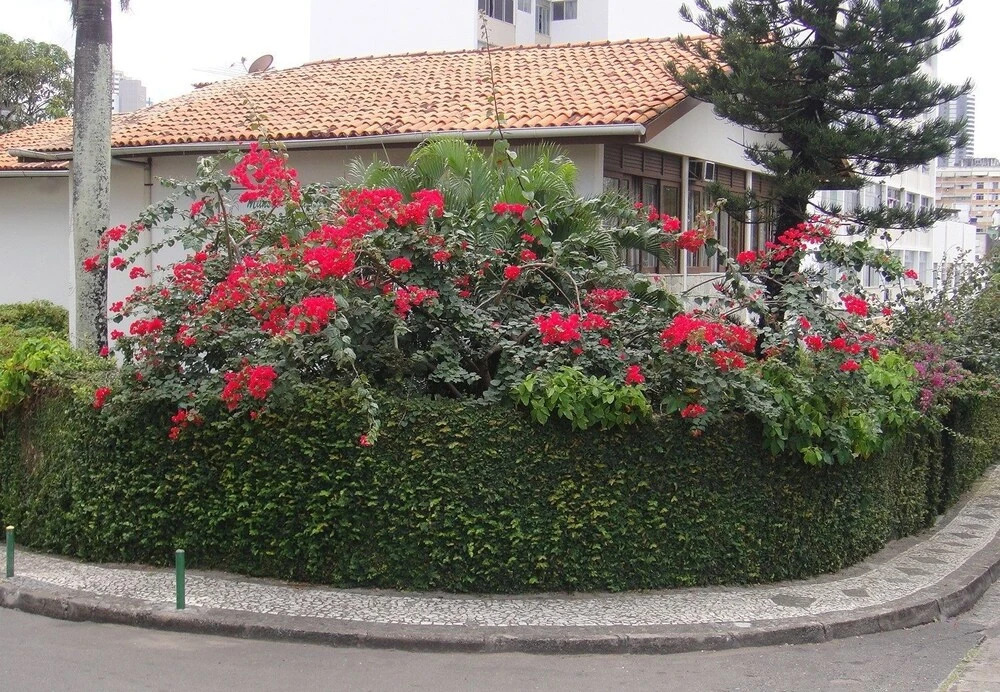 Mansão VillaVerde