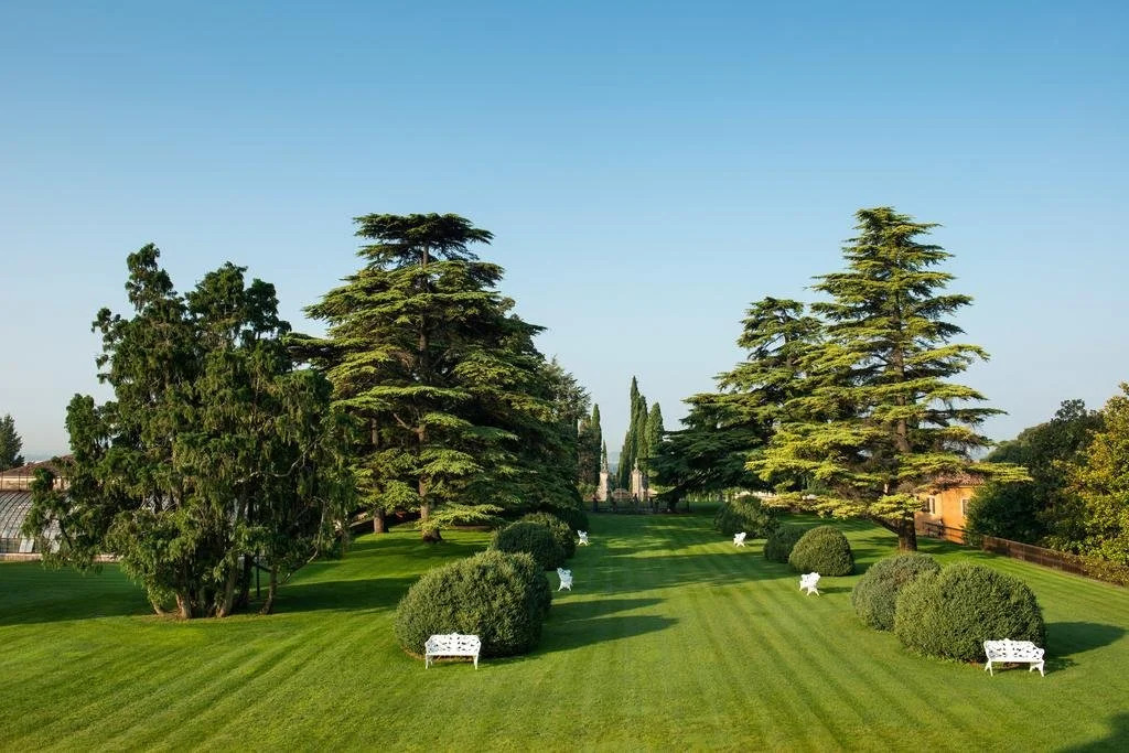 Villa D'Acquarone