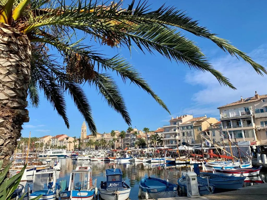 PORTISSOL T1 RDJ CLIM PARKING PRIVATIF 300m PLAGE