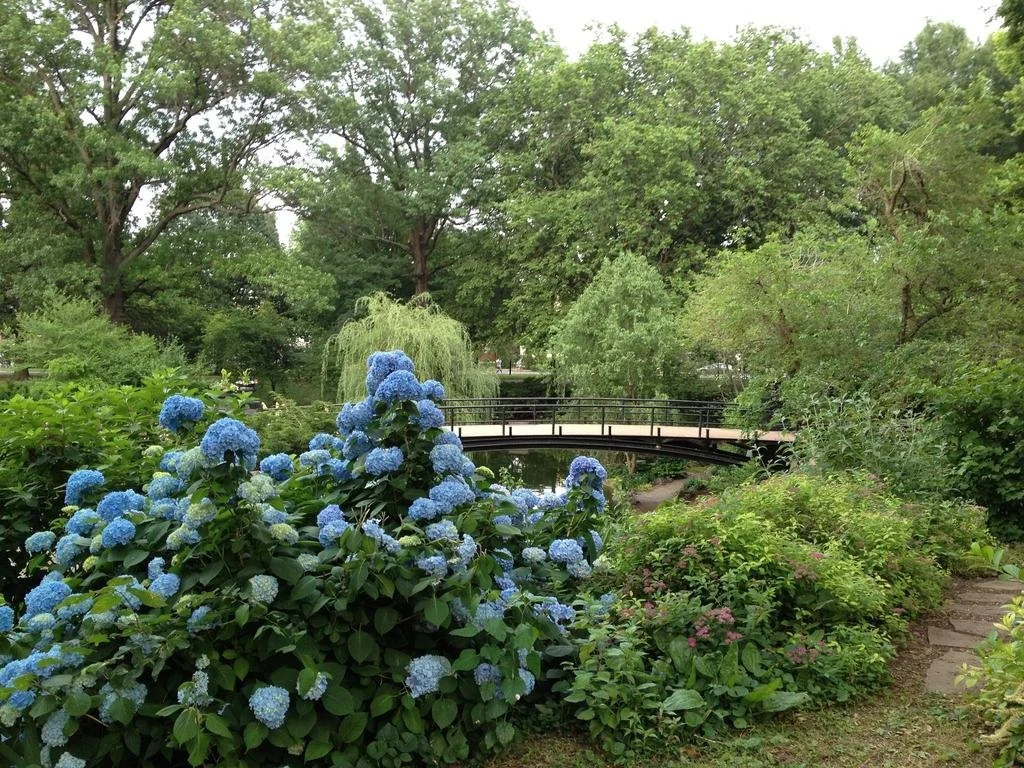 Napoleon's Retreat B&B