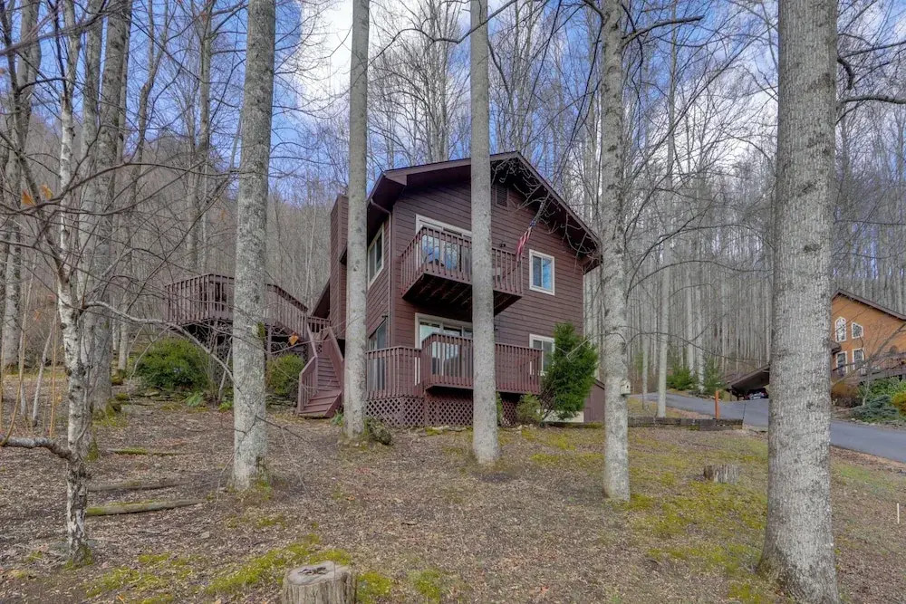 Dog-friendly Cabin 6 Mi to Cataloochee Skiing!