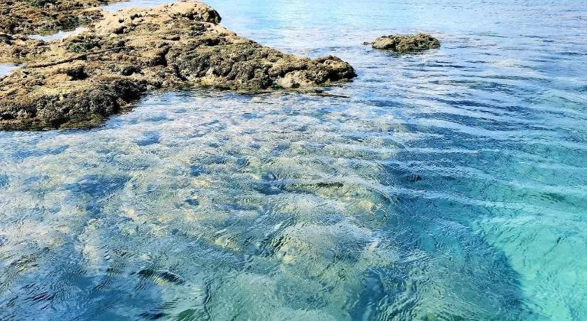 Pousada Coco Beach