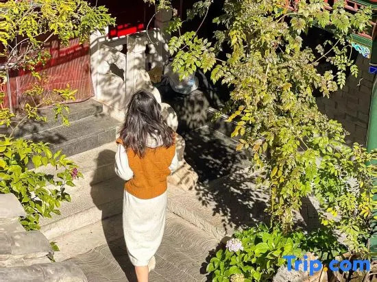 The JOYCourtyard International Hotel near Forbidden City Tiananmen