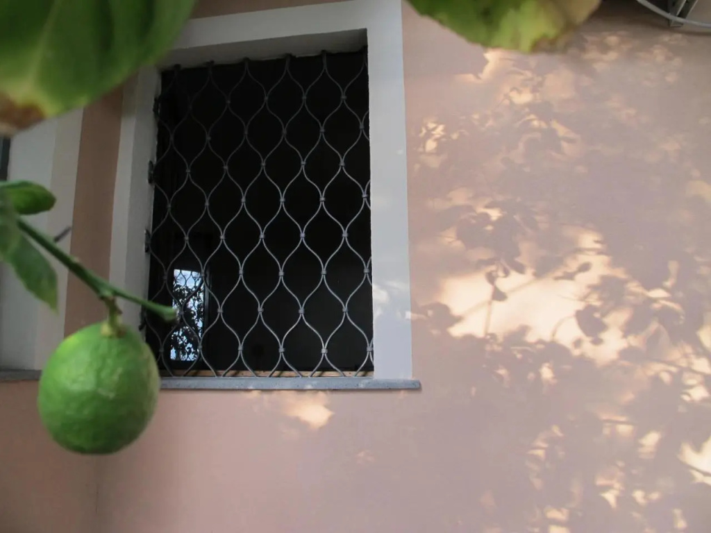 Casa Amaryllis