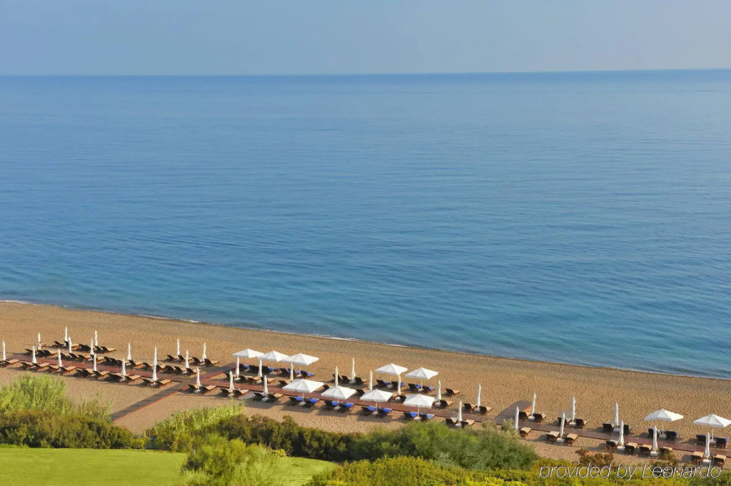 Anassa