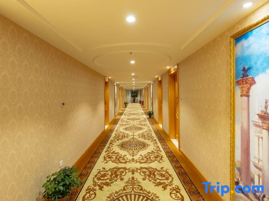 Vienna Hotel (Qidong New Area)
