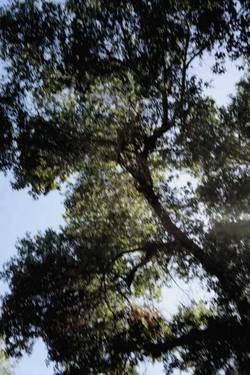 Ayeka Intergrative Center