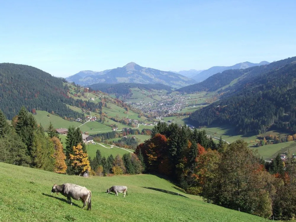 Alpenchalet Almrose