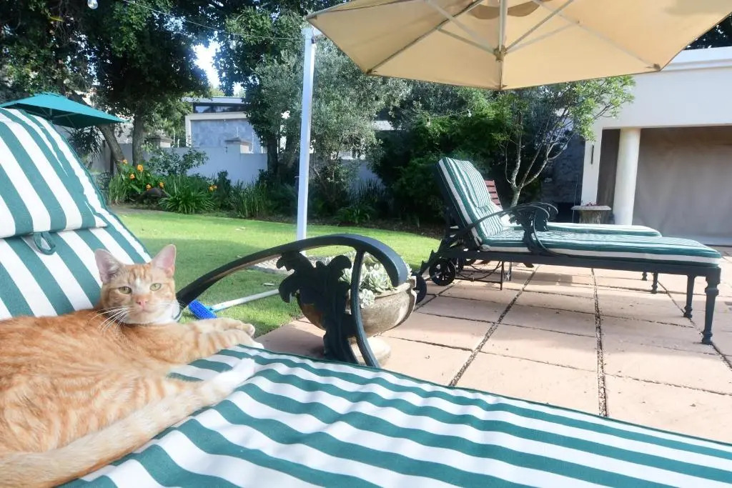 Highgrove Guesthouse Morningside Sandton