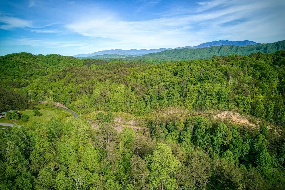 Panoramic Paradise 4 Bedroom Cabin by RedAwning