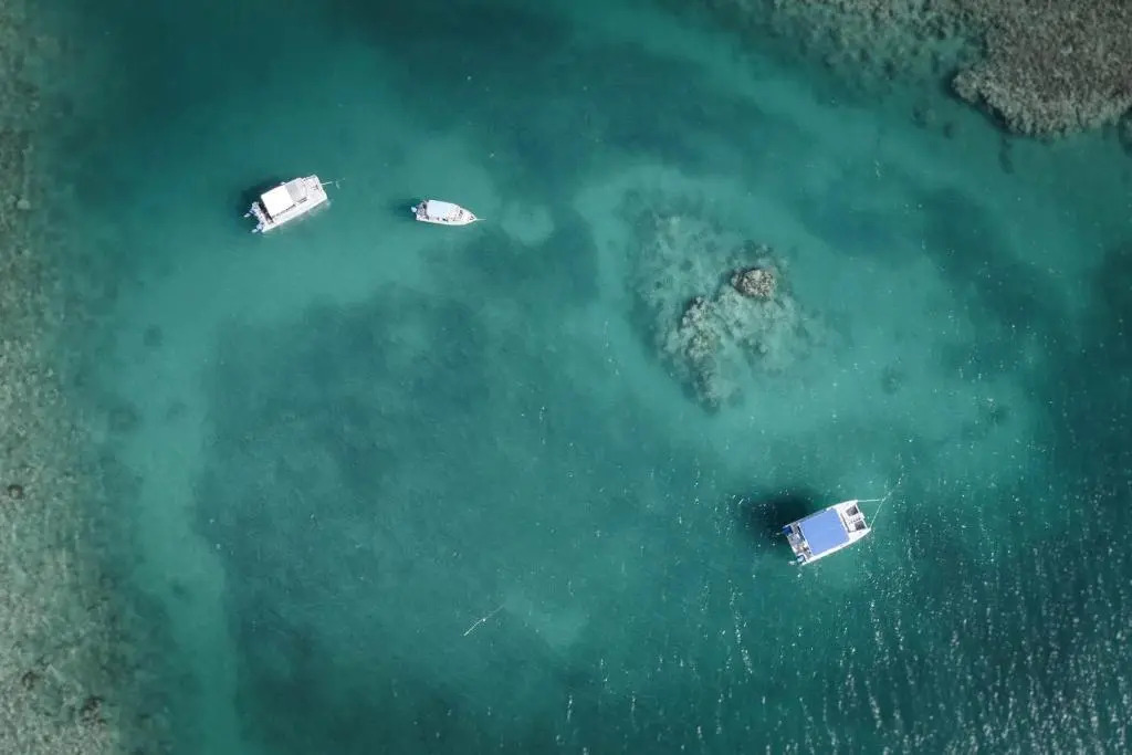 Beqa Lagoon Resort