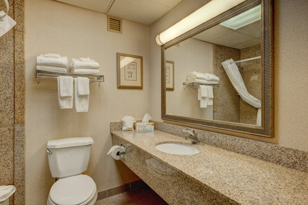 Ramada Plaza Riverside