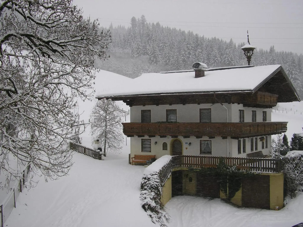 Steinerbauer