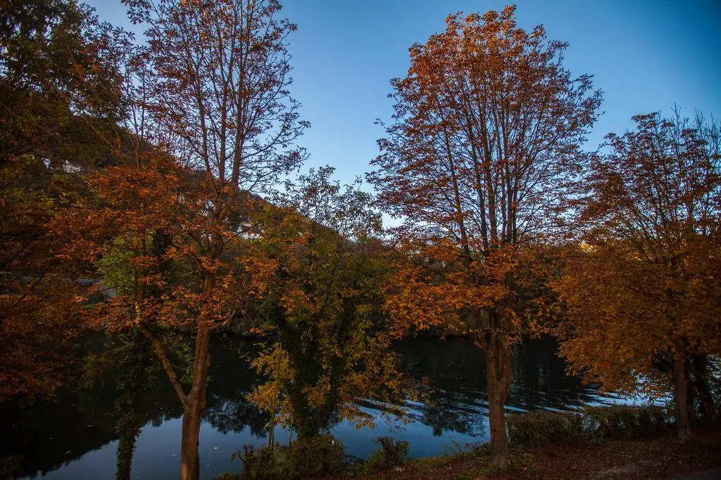 Palatium Bad Ems