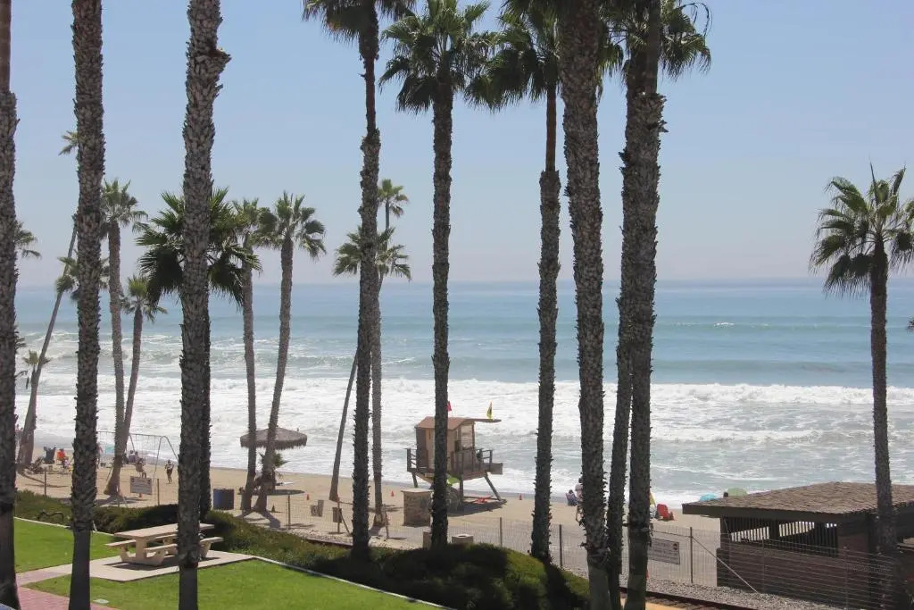 Sea Horse Resort