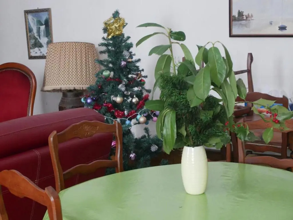 Gîte de caractère du XIIIe siècle avec cheminée et Wi-Fi - FR-1-496-55