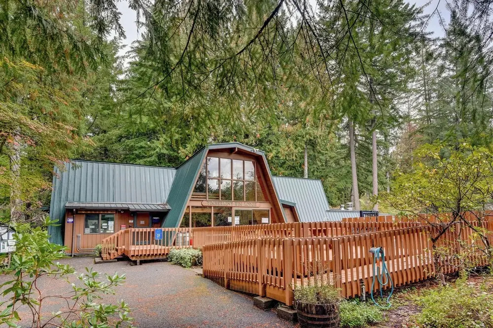 Rhododendron Creekside Cabin w/ Hot Tub & Fire Pit