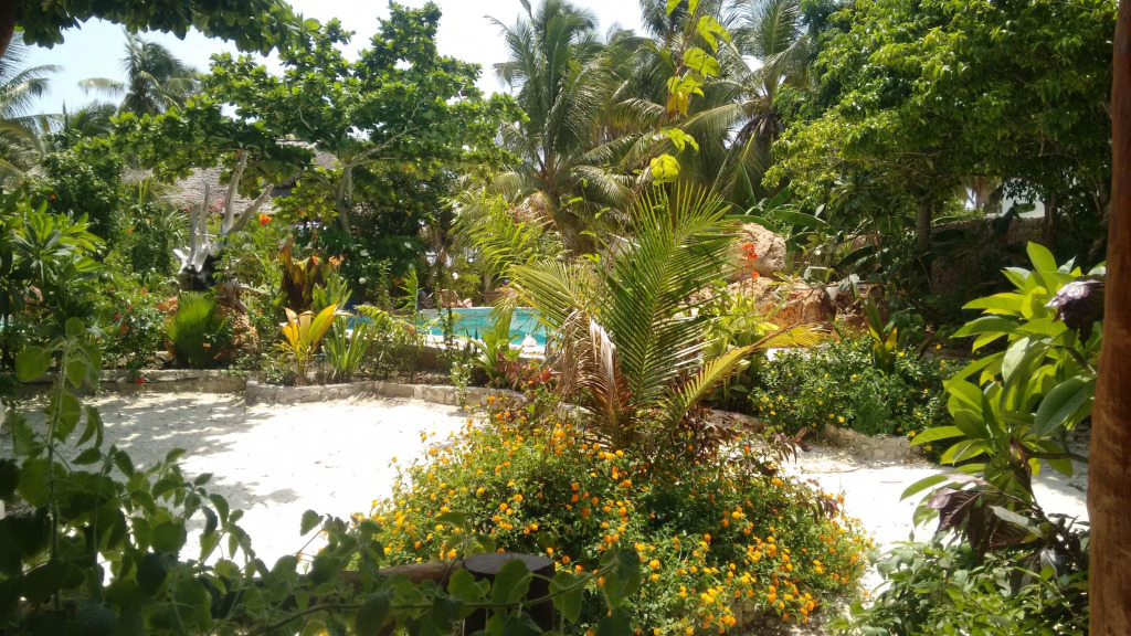 Mustapha' s Place