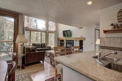 1633 Quicksilver Condo