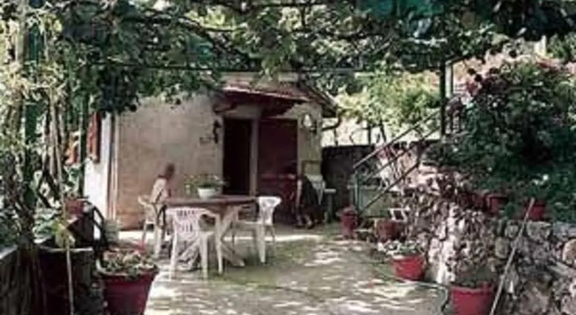 Il Fiore