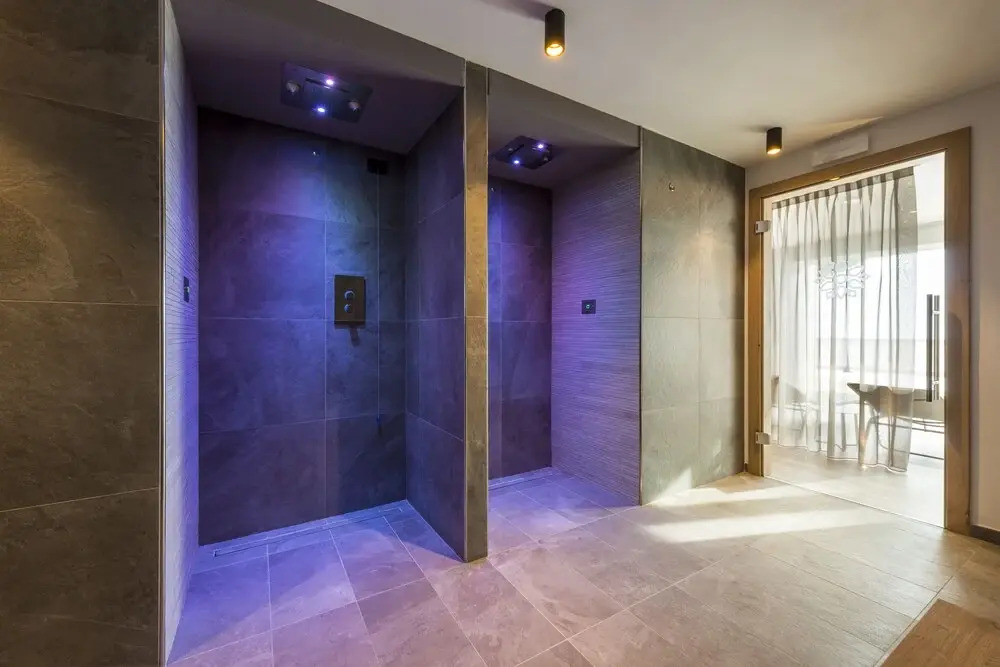 Chalet Aster
