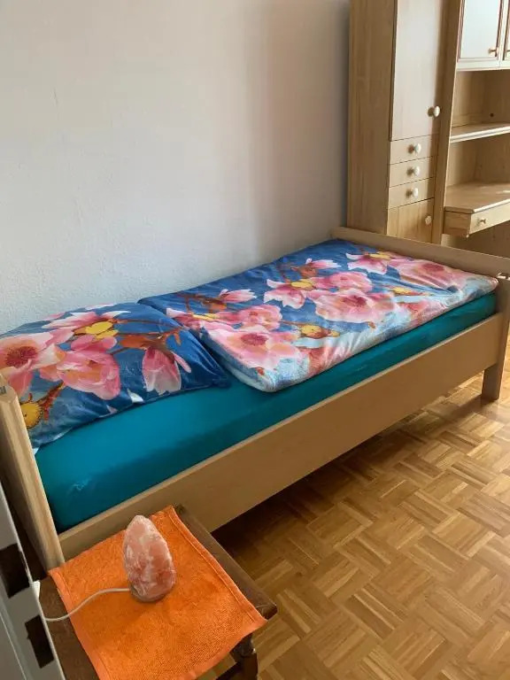 Reichenbach Apartment