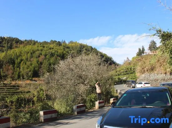 Tulou Viewing Platform Inn