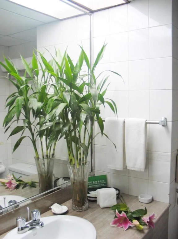 Le Garden Hotel