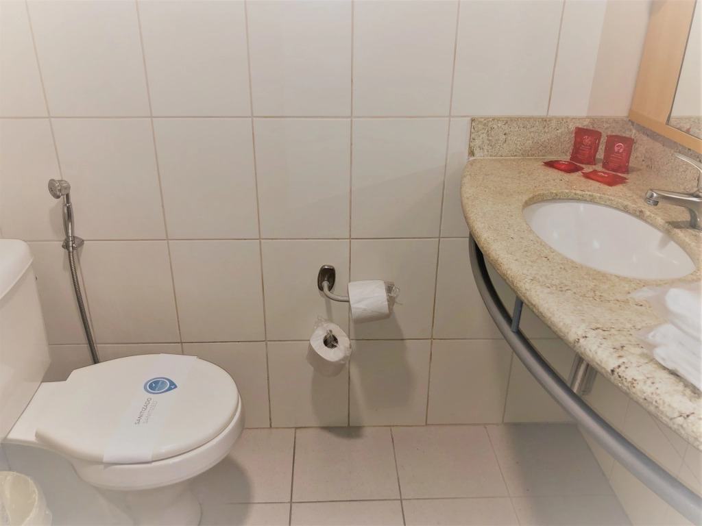 Ibis Belo Horizonte Savassi