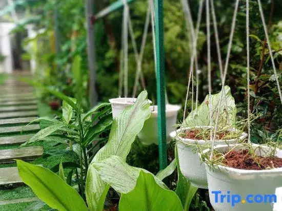 Homestay Golf & Coffee - Bi Phu Quoc