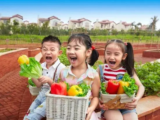 Kangfu Meilai Holiday Apartment (Chengmai Hongshuwan)