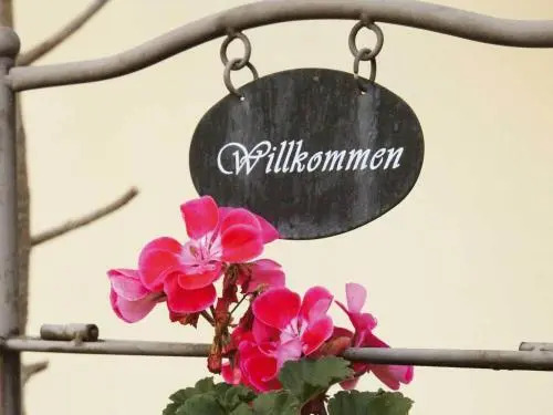 Solaia Hotel & Guesthouse