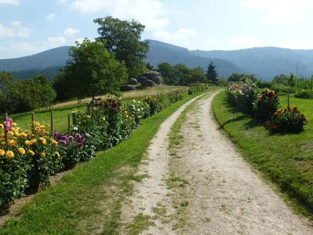 Ferienwohnung Pusteblume