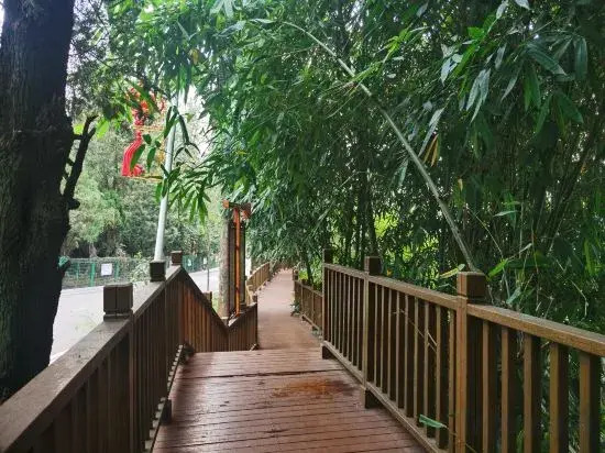 Anning Hot Spring Longjing Homestay