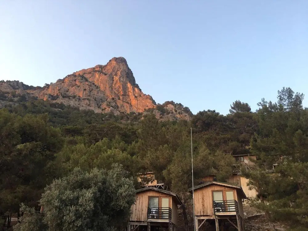 Tree Houses Hotel