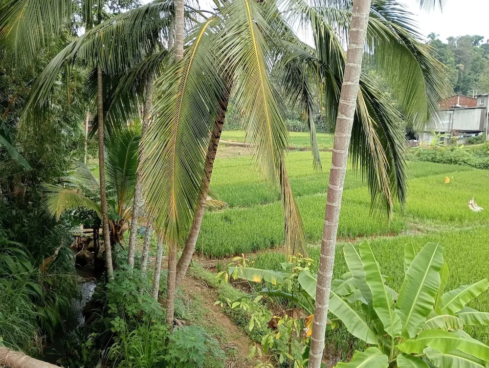 Power Zone Guest House