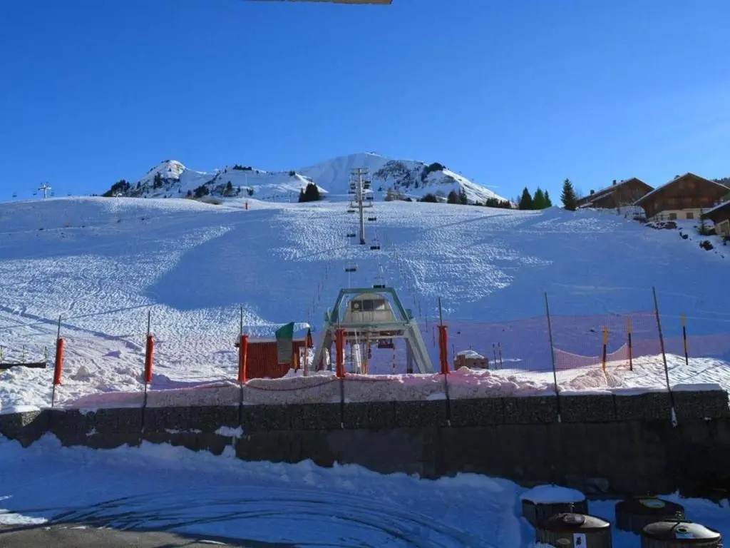 Appartement Le Grand-Bornand, 1 pièce, 4 personnes - FR-1-241-123