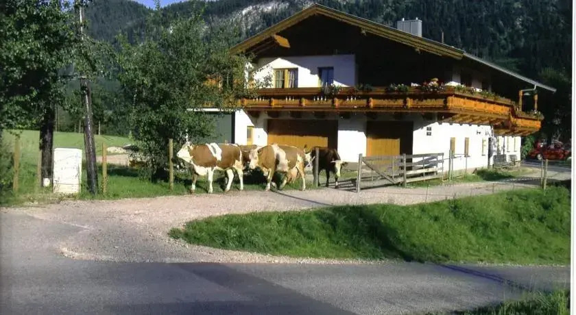 Bichlhof Riedenberg