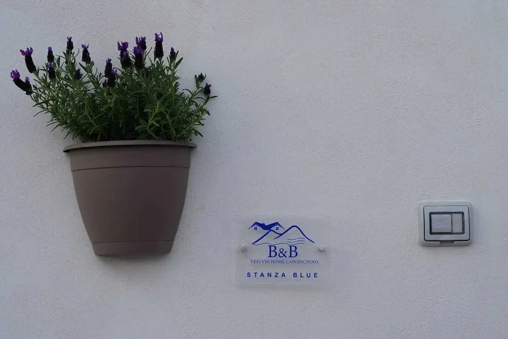 Vesuvio Home Capodichino Blu